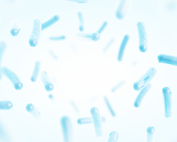 Synbiotics: a Holistic Approach to Gut Health & Beyond